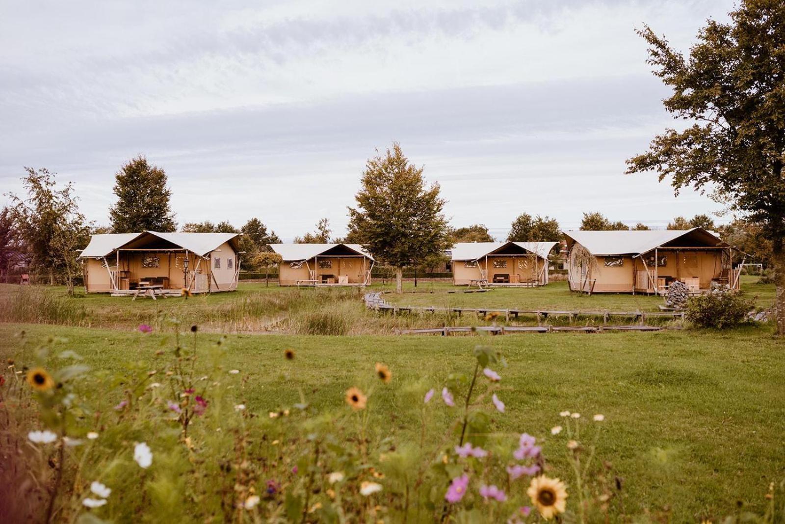 Luxe glamping tent Bant Værelse billede