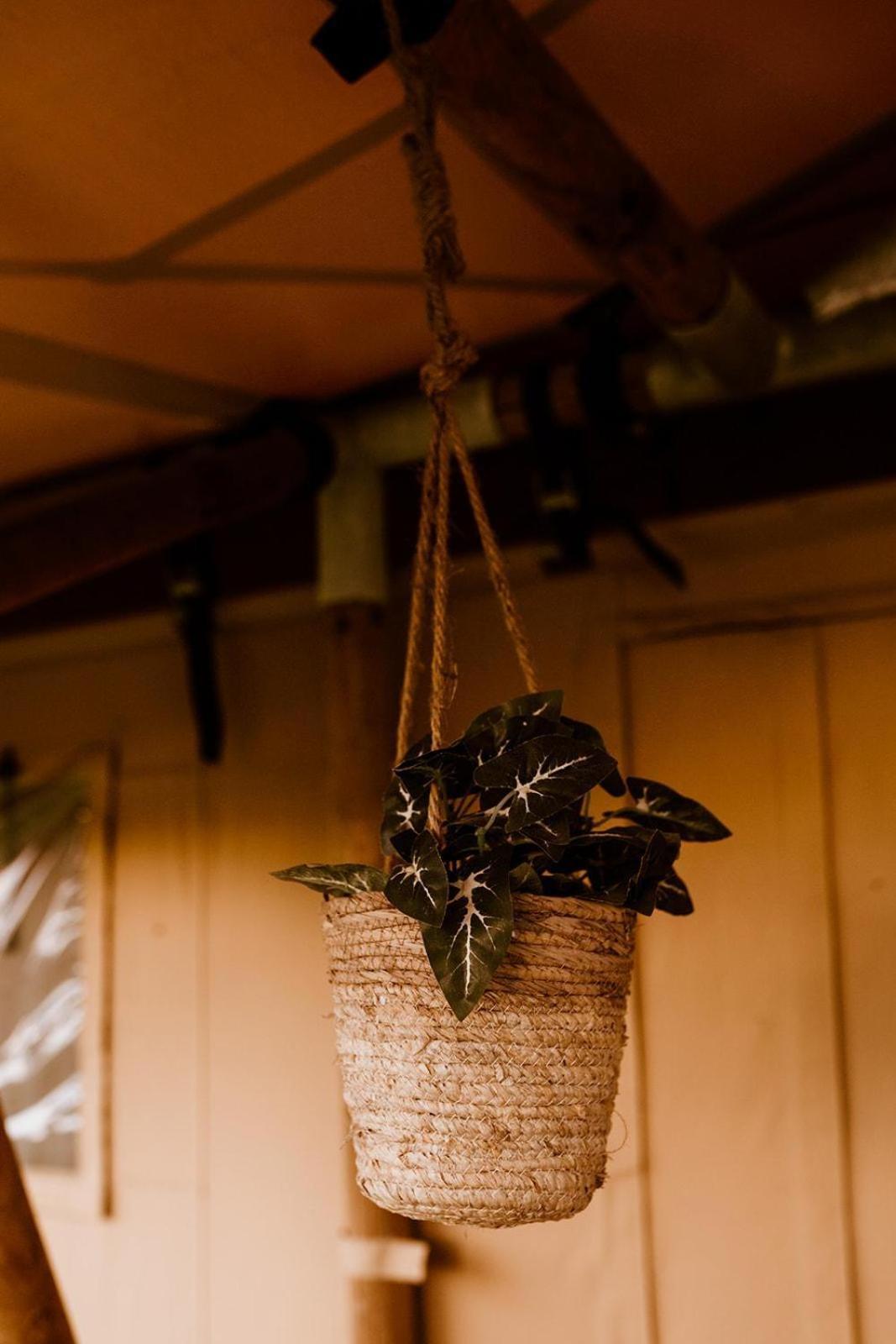 Luxe glamping tent Bant Værelse billede