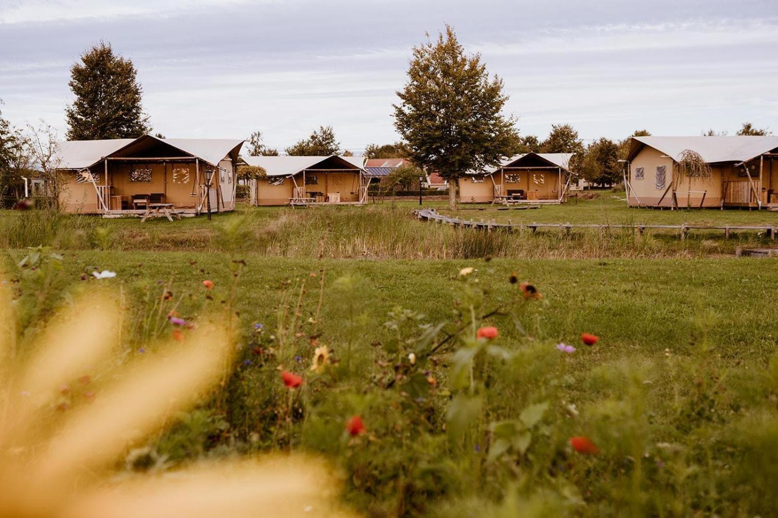 Luxe glamping tent Bant Værelse billede